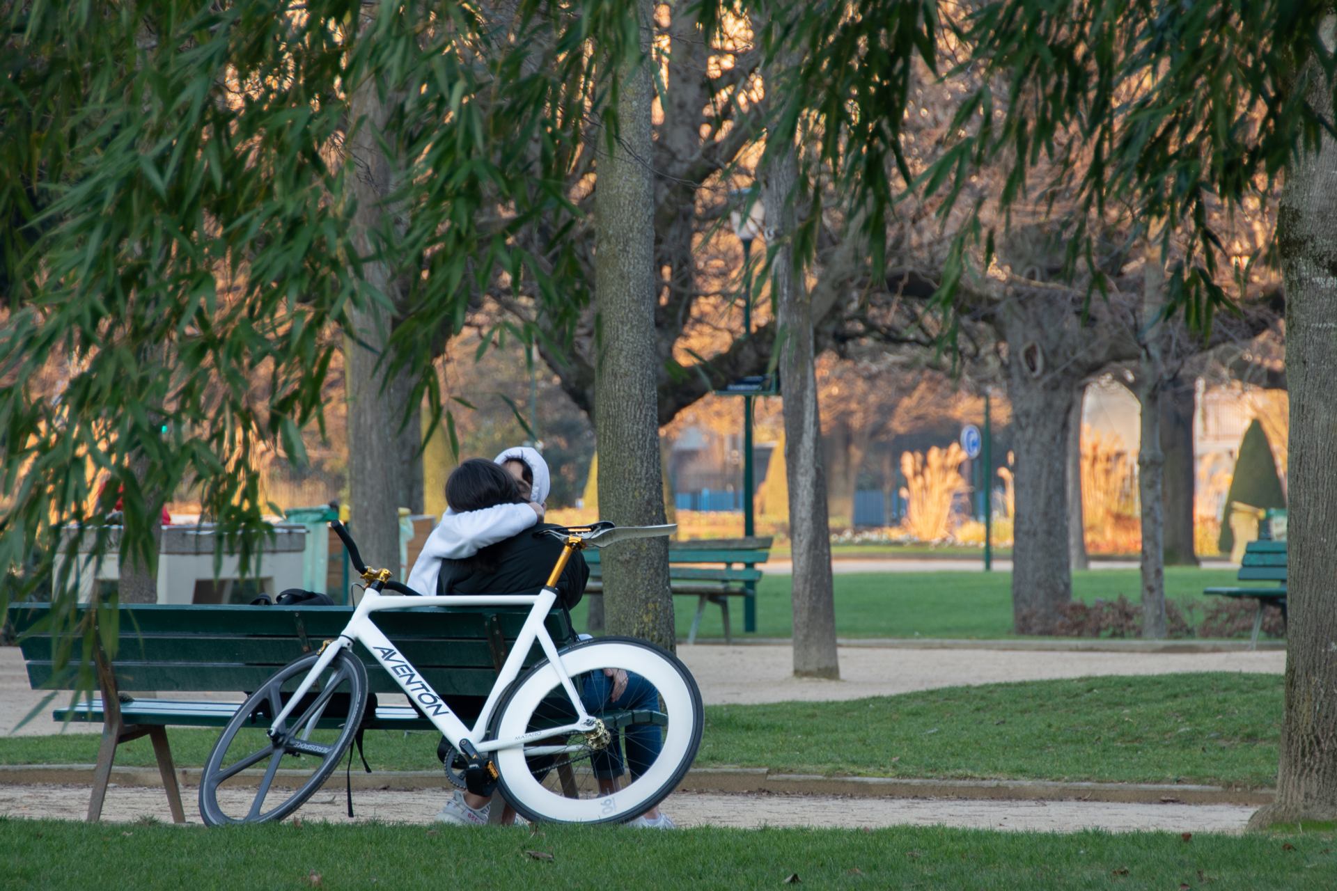 2019 01 21 - 5249.jpg