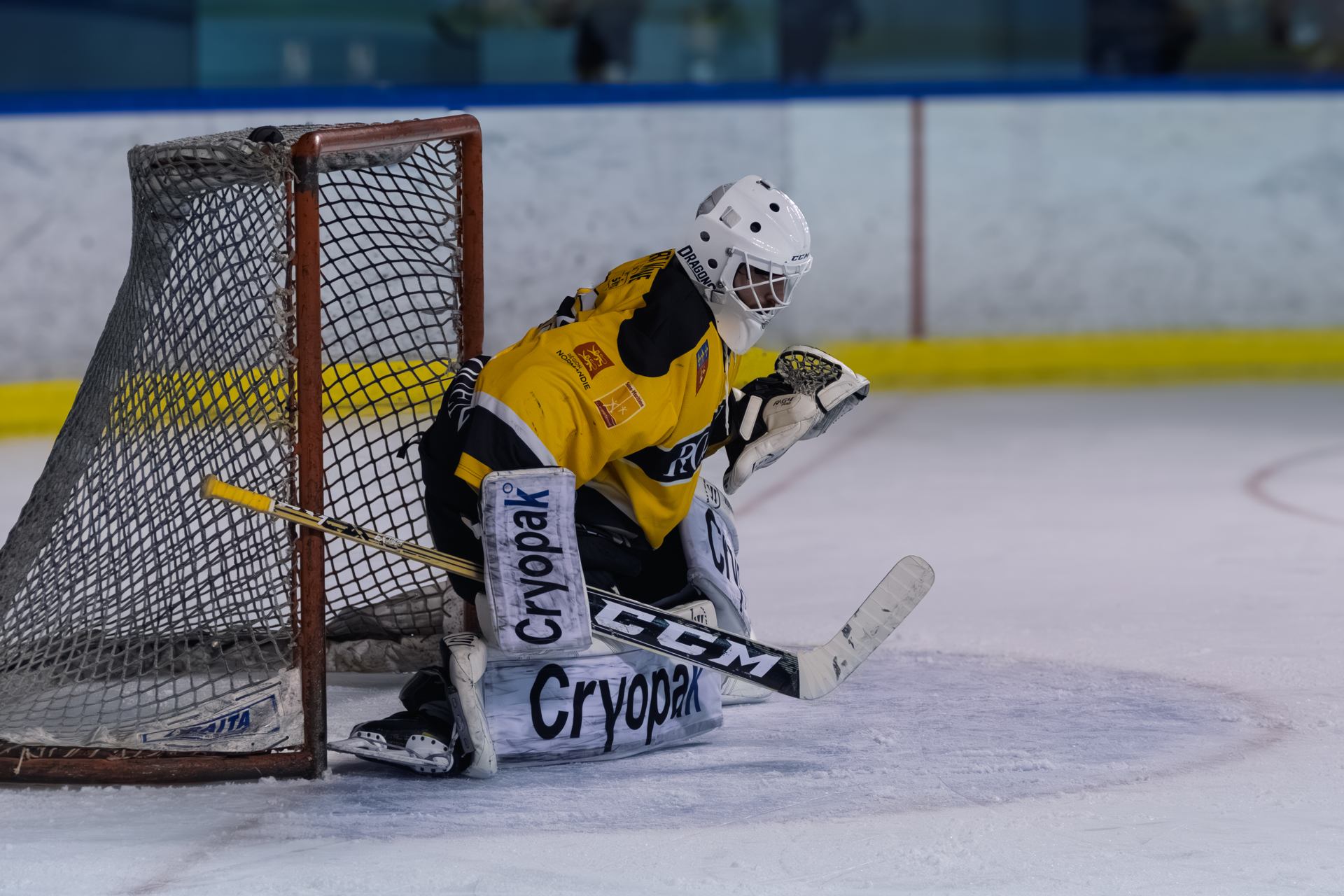 2019 01 05 - 5110.jpg