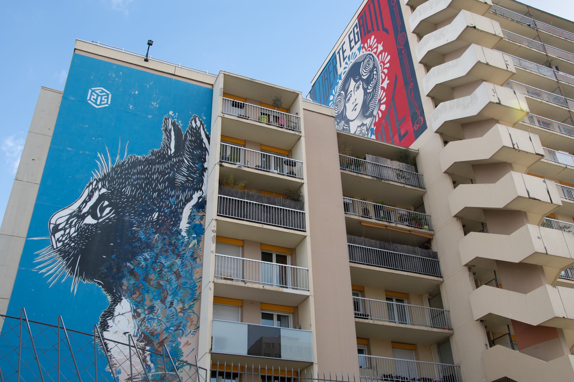 2019 03 10 - 6153.jpg