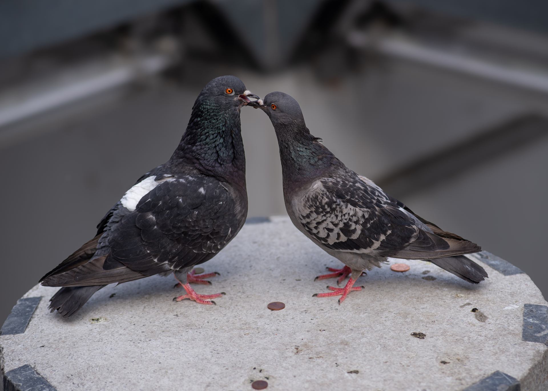 2019 07 28 - 0588.jpg