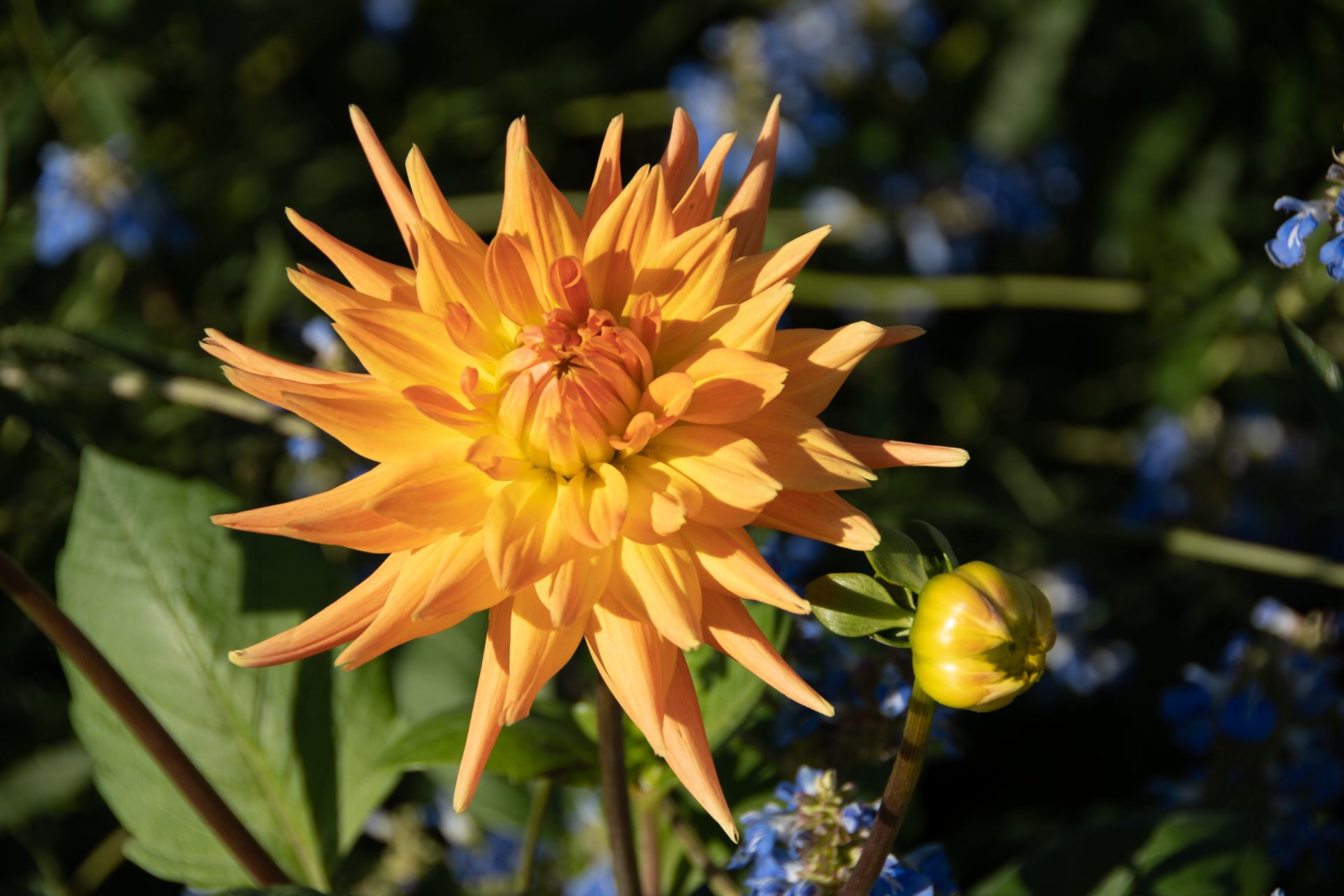 2019 10 03 - 8169.jpg