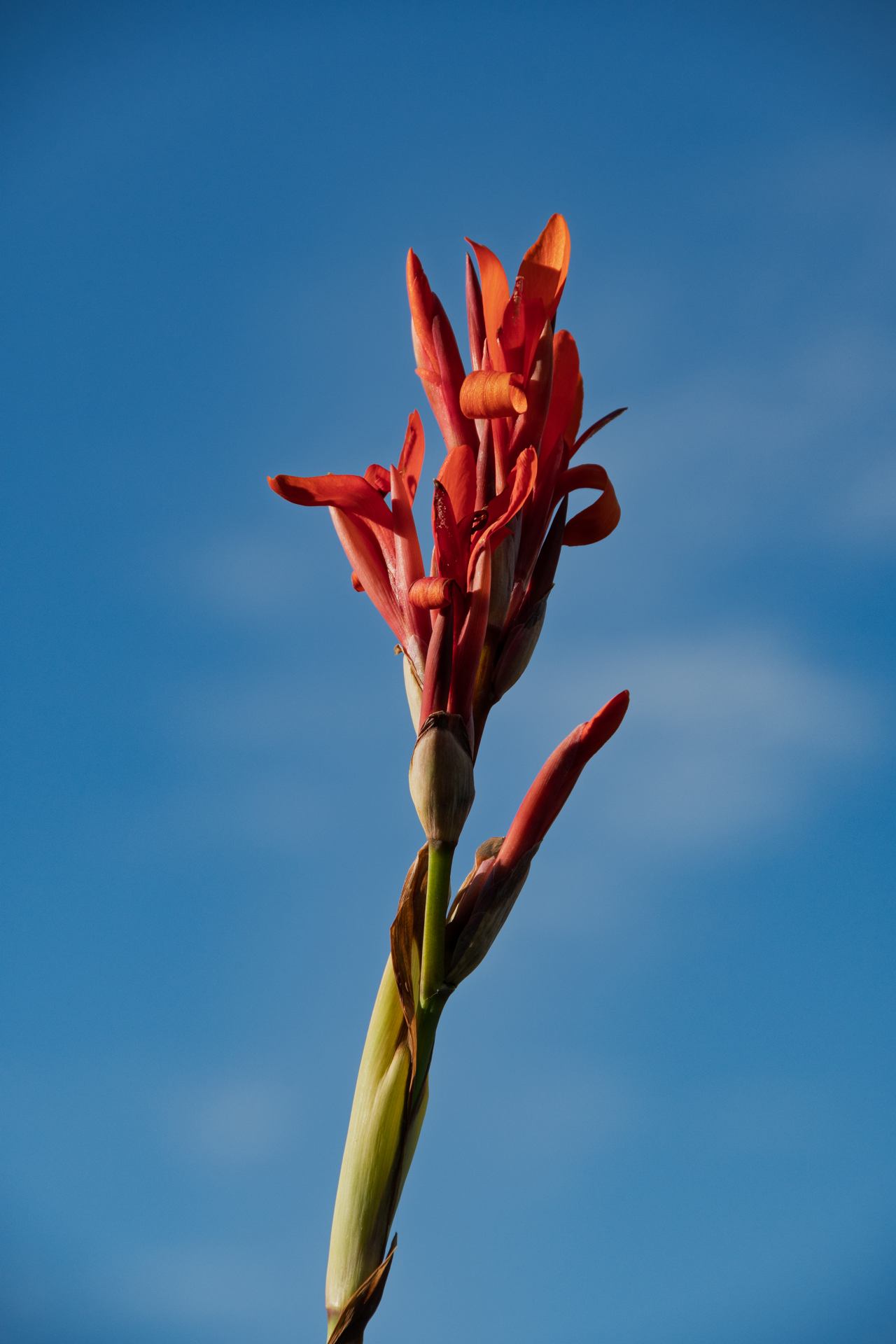 2019 10 03 - 8165.jpg