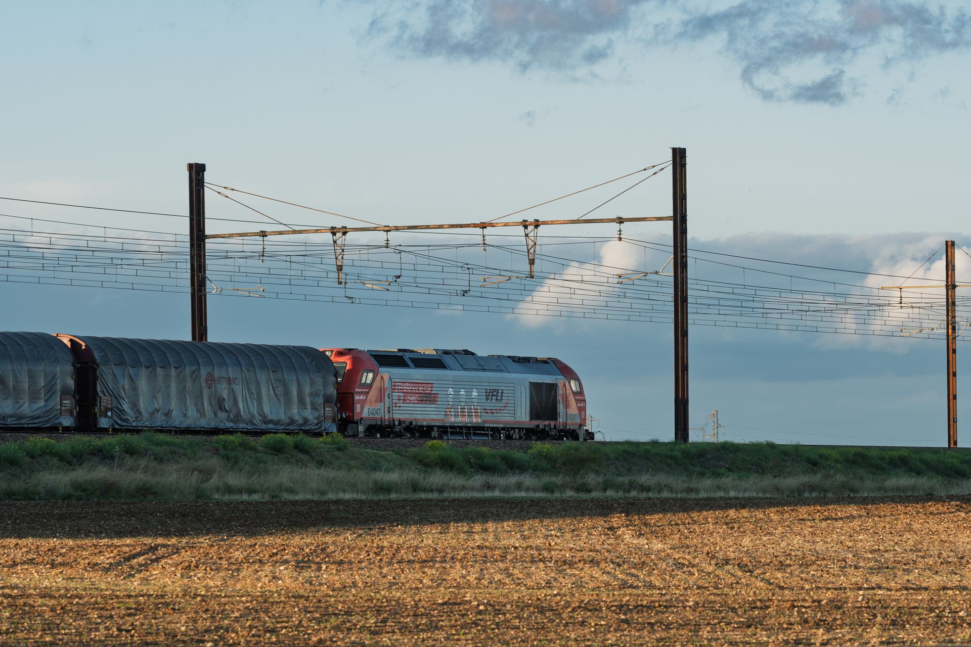 VFLI - 9943.jpg