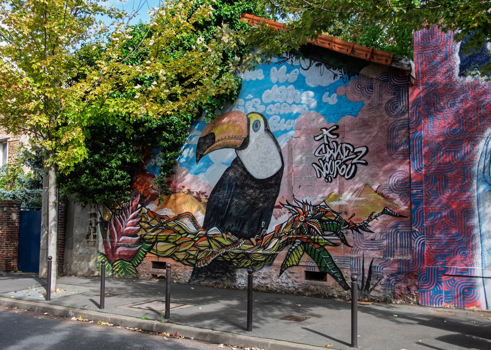 Toucan - 3310.jpg