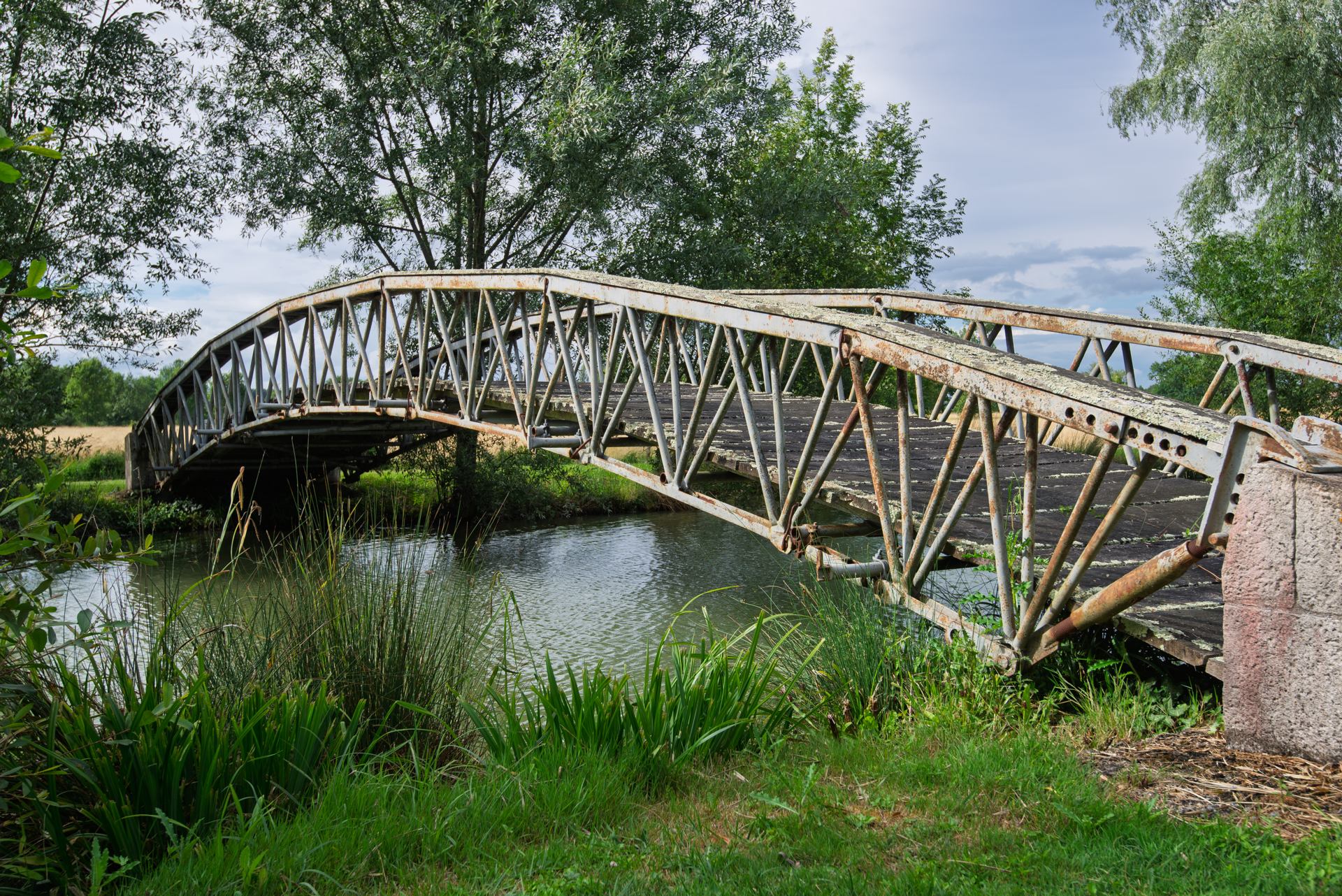 2020 06 16 - 3063.jpg