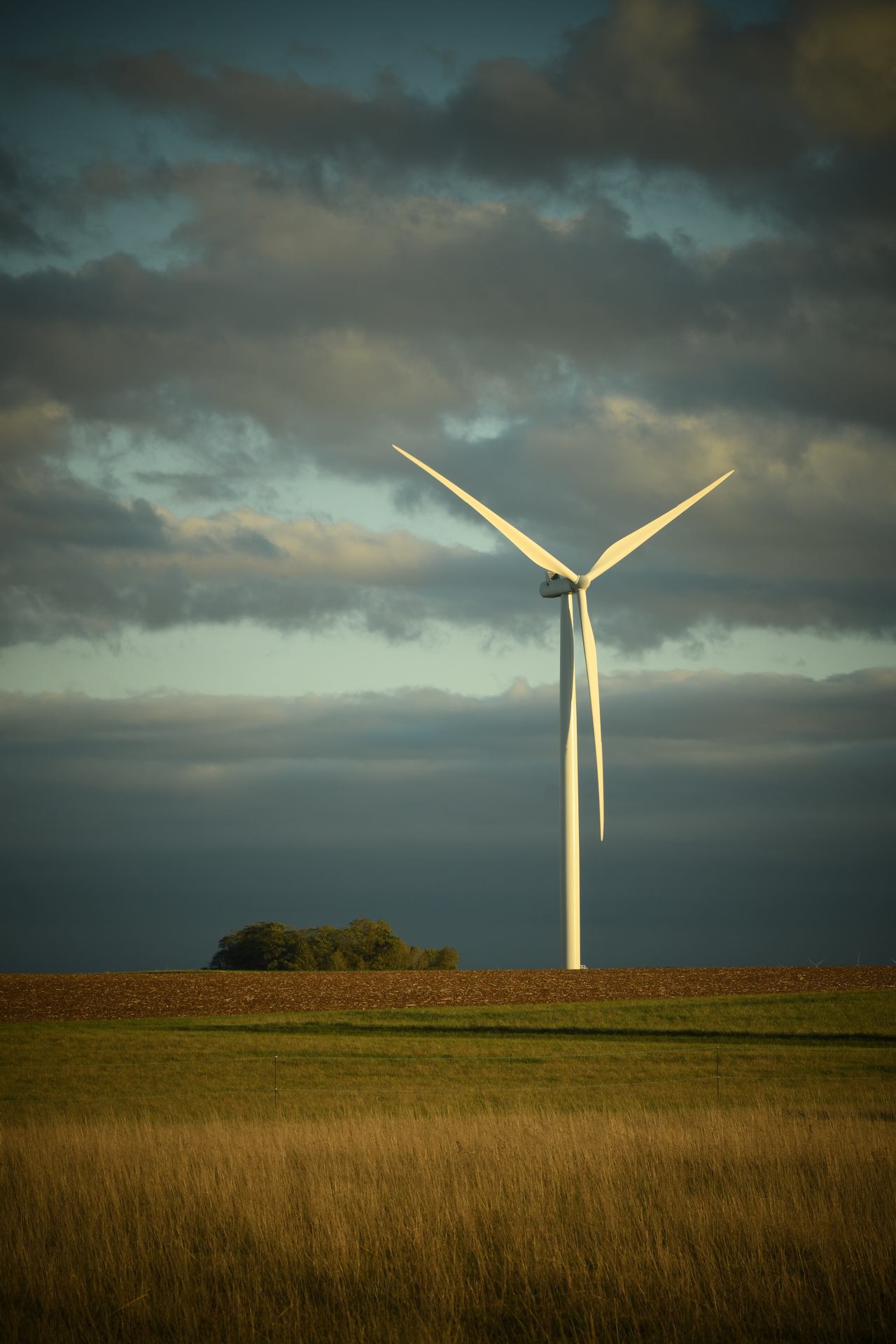 2020 10 09 - 9936.jpg