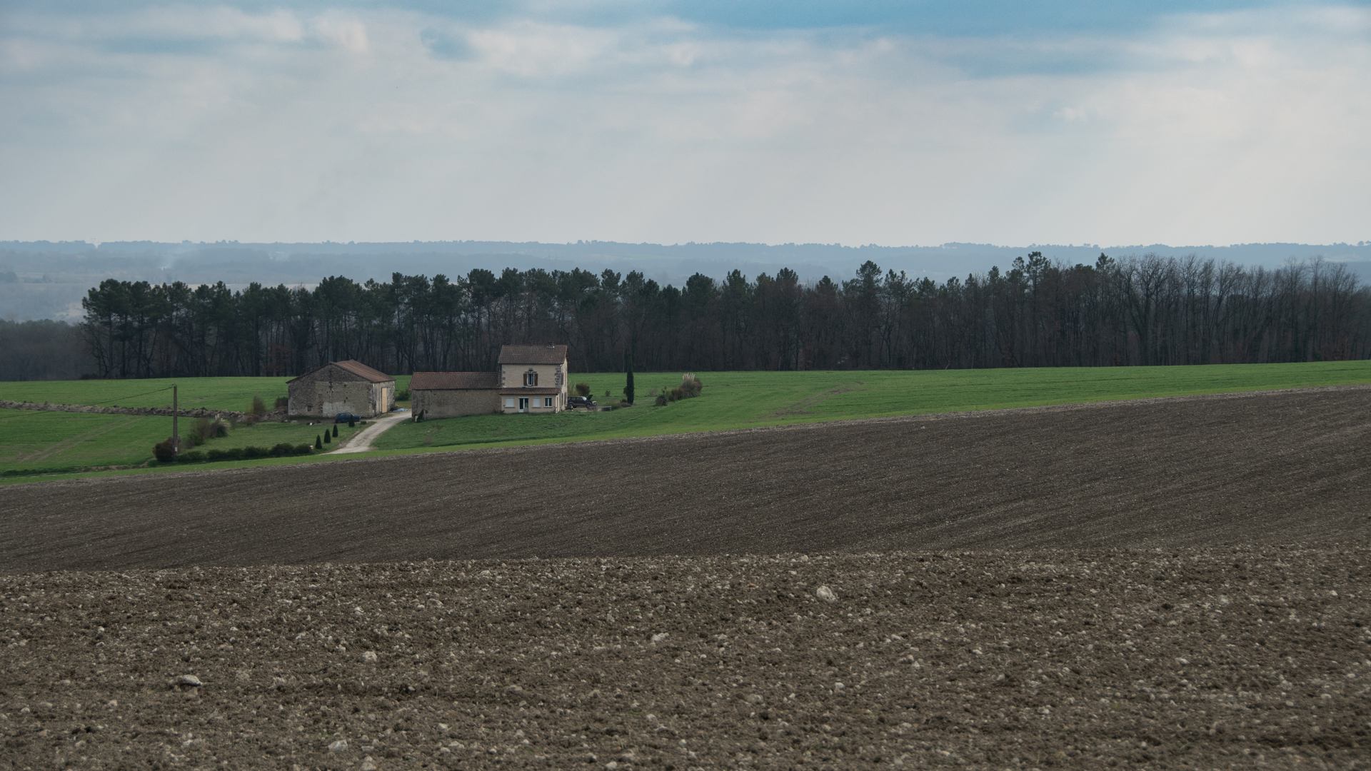 2021 03 05 - 0041.jpg