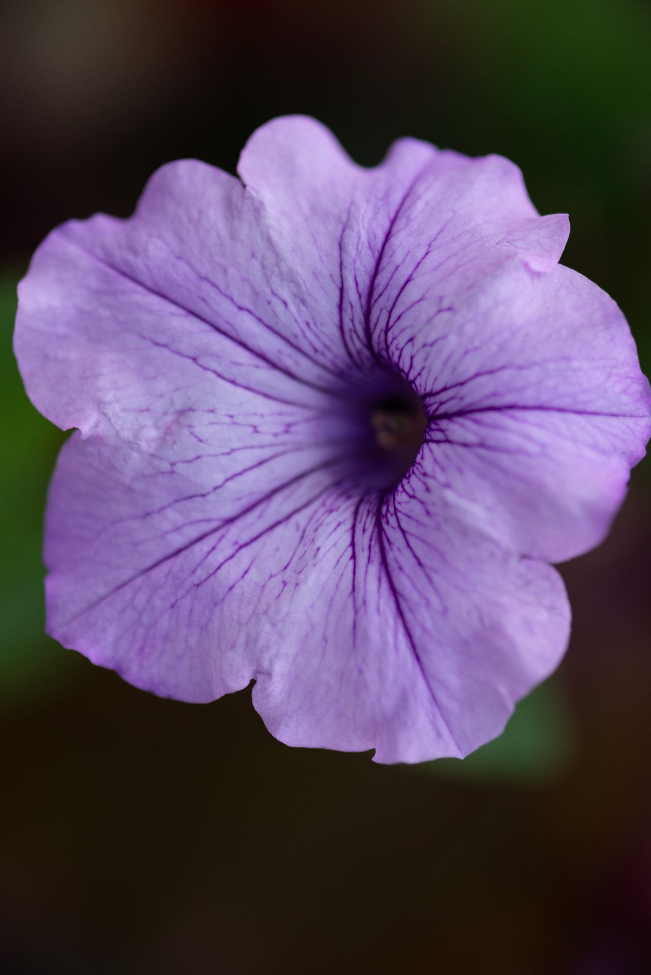 2022 06 23 - 4013.jpg