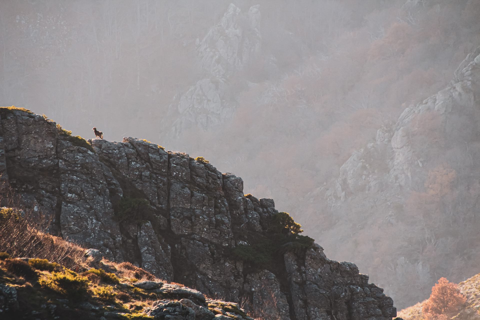Le Guetteur de l'Aube