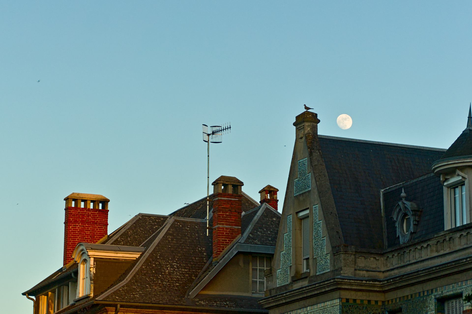 Fly me to the moon