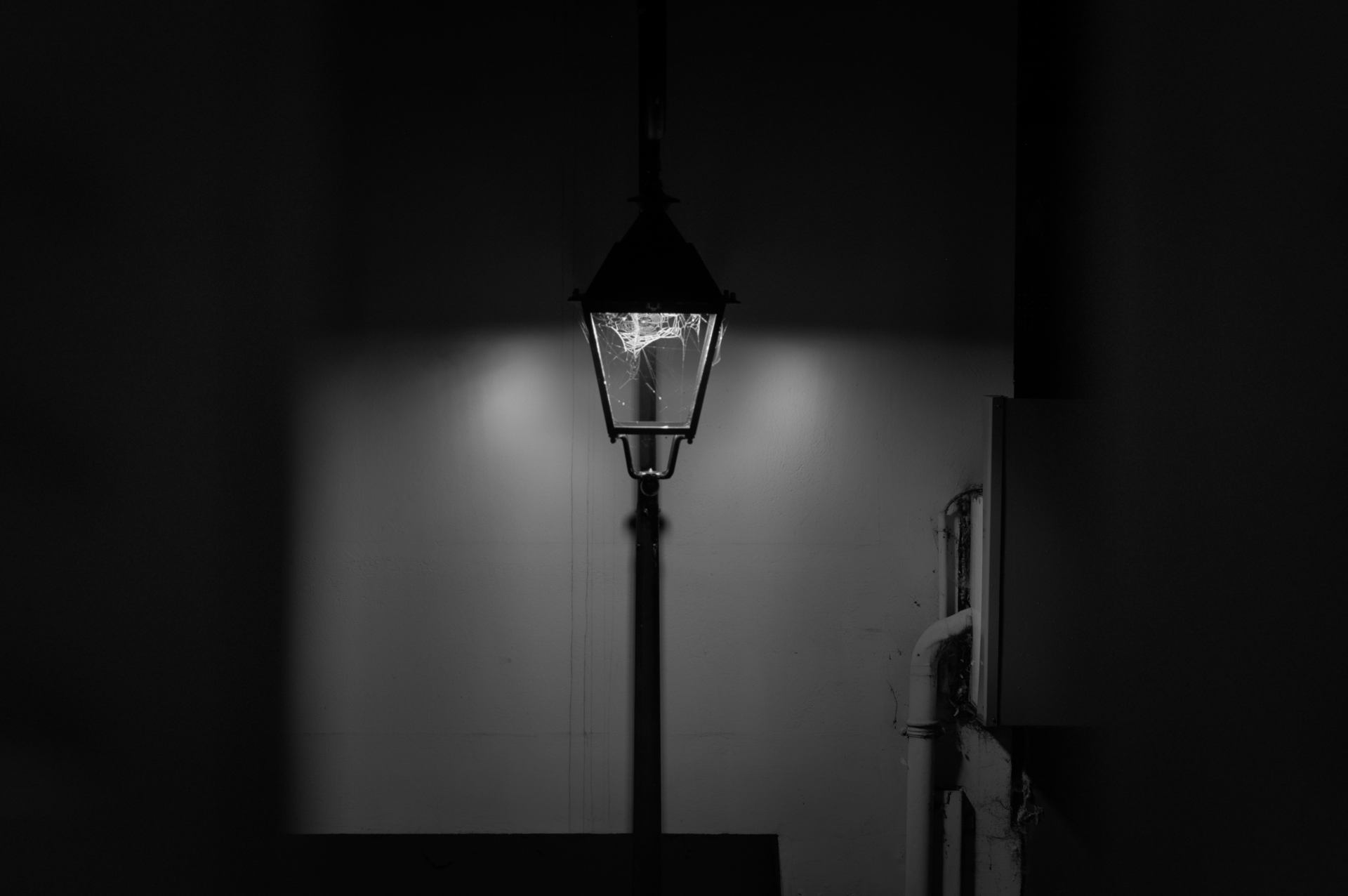 DSC_0043.jpg