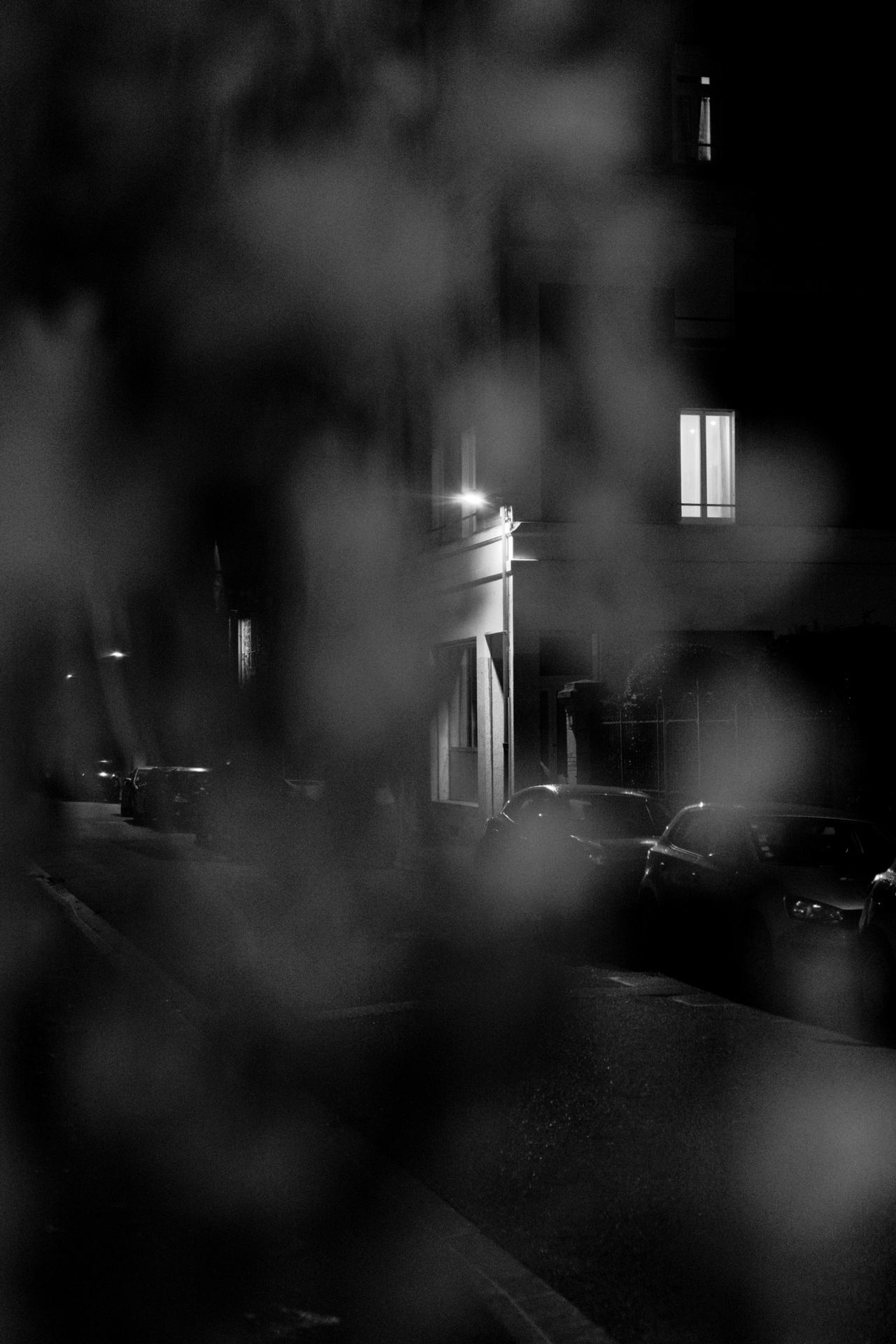 DSC_4503.jpg