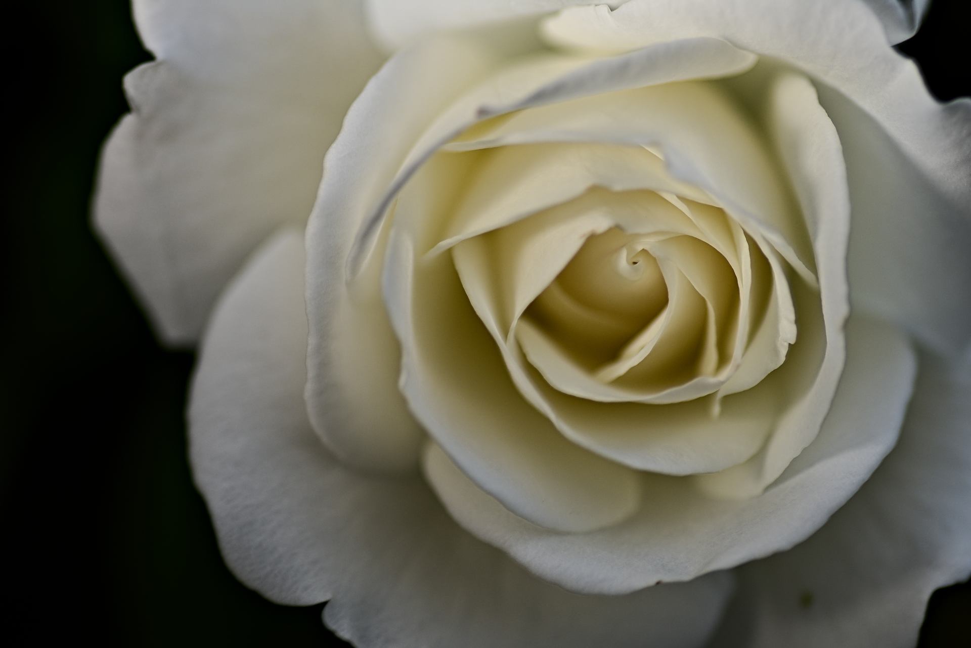 DSC_0416.jpg