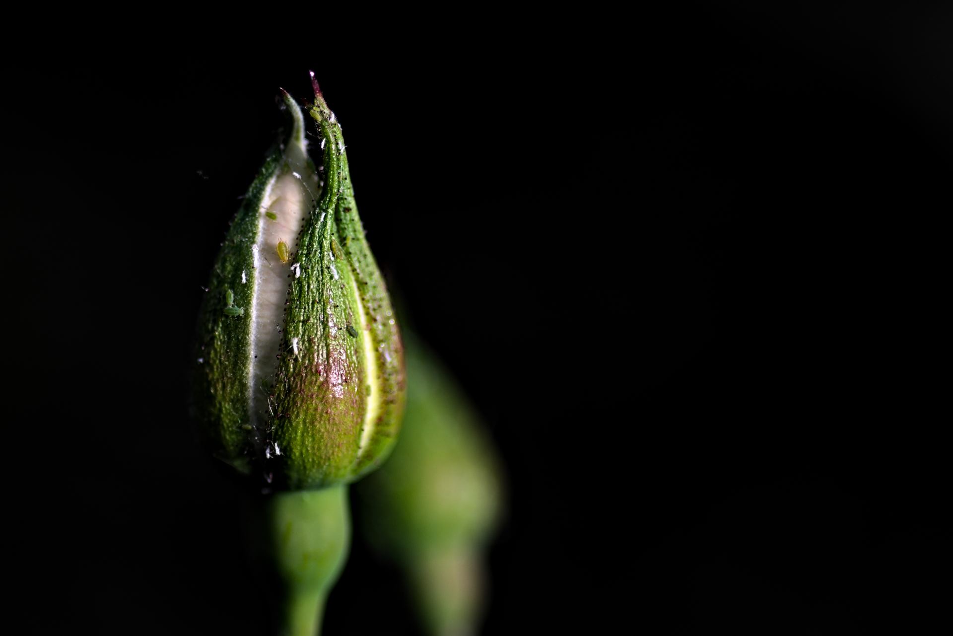 DSC_0428.jpg