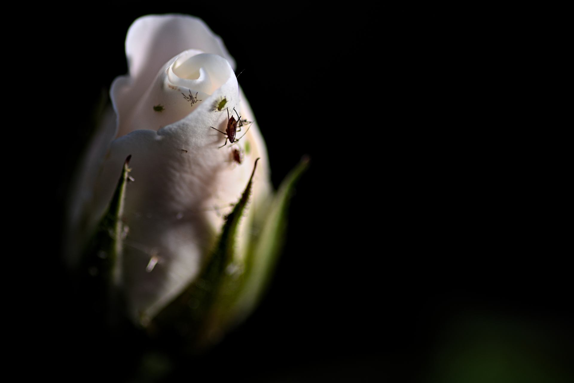 DSC_0429.jpg