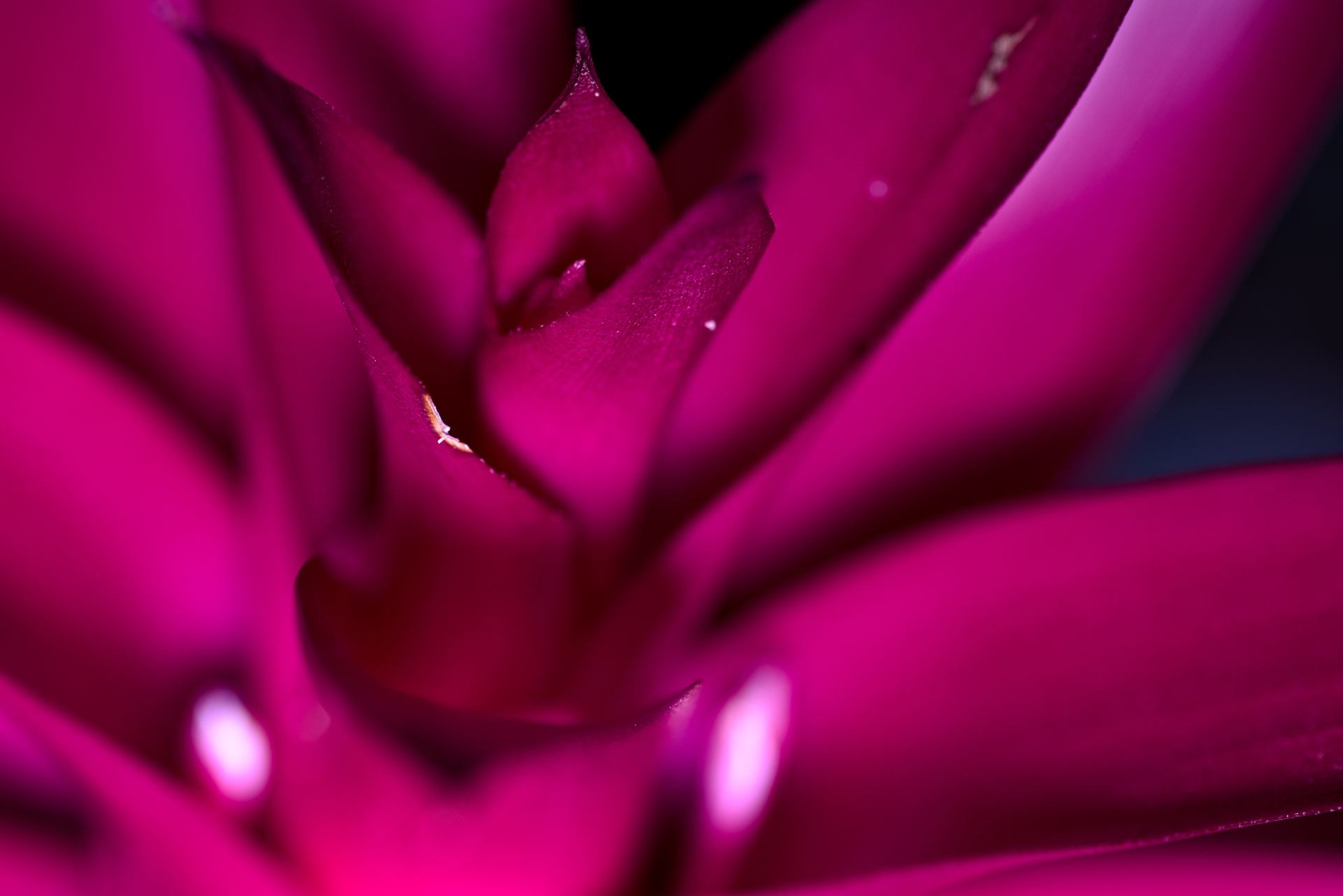 DSC_0481.jpg