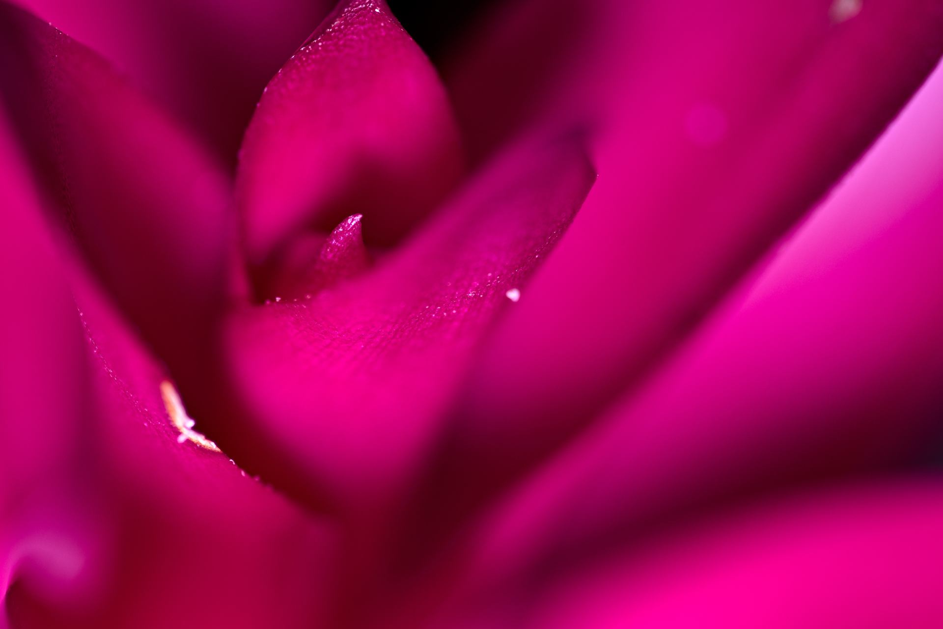 DSC_0491.jpg