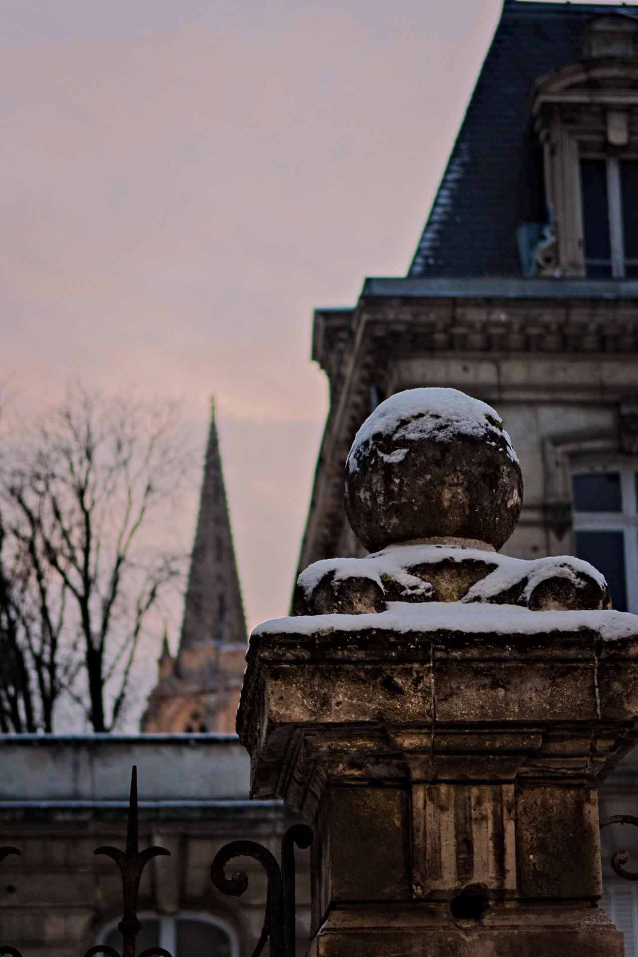 DSC_5770.jpg
