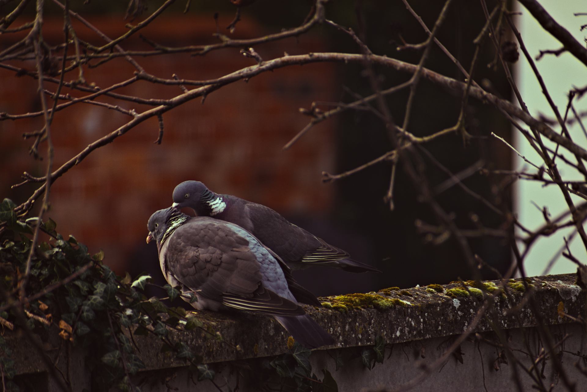 DSC_0003.jpg