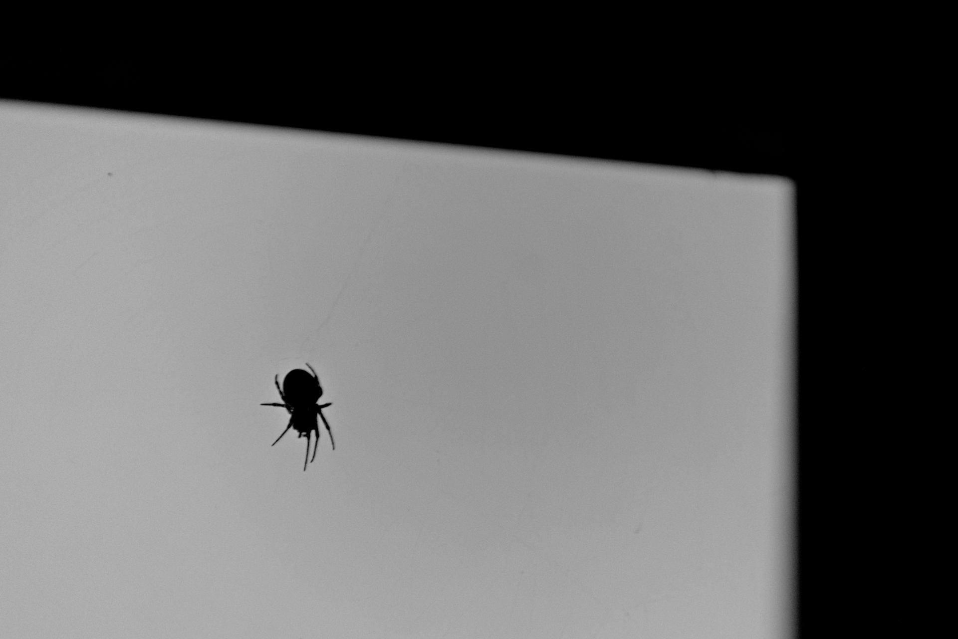 DSC_0005.jpg