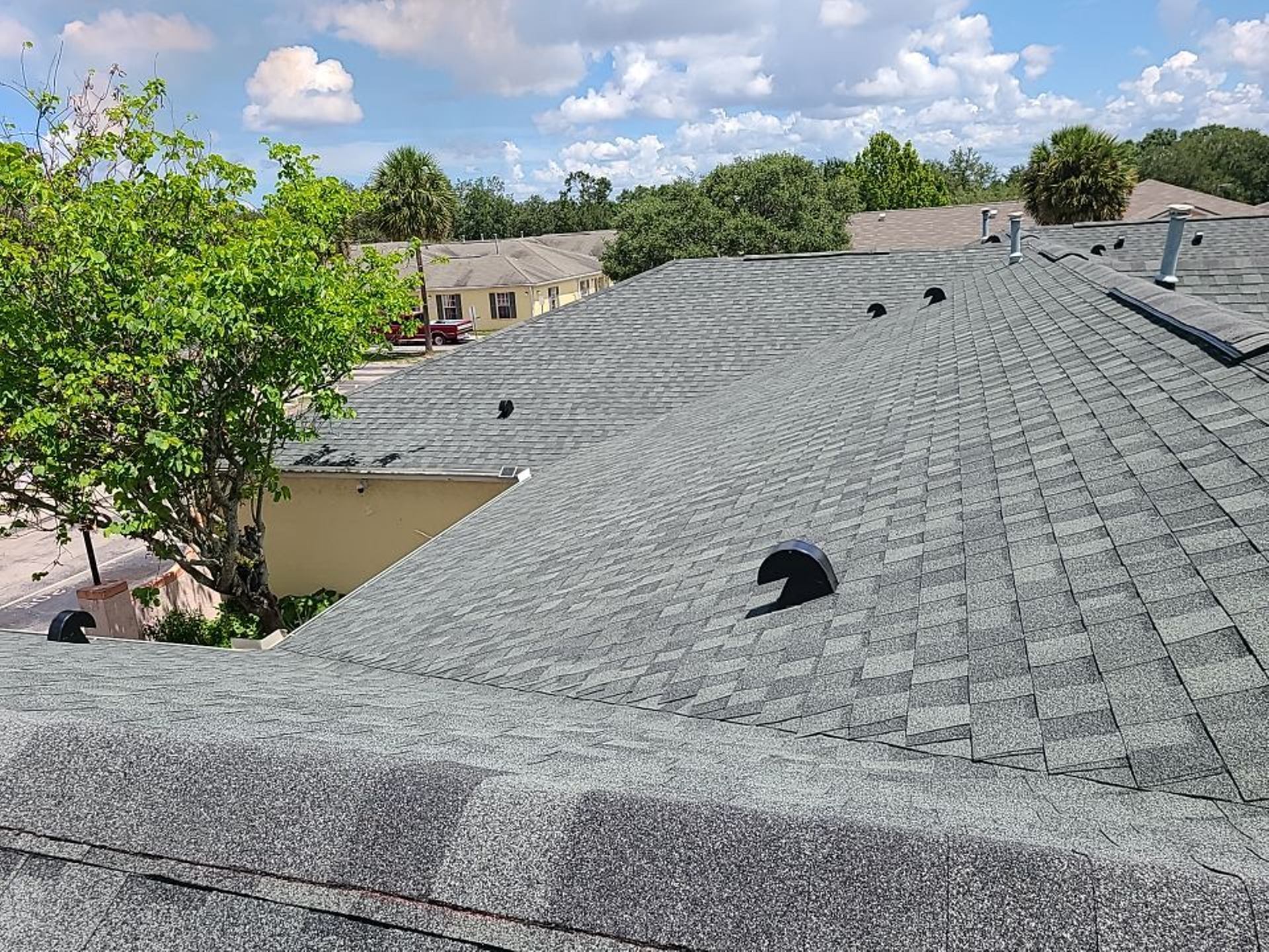 Florida Shingle Roof After 2.jpg
