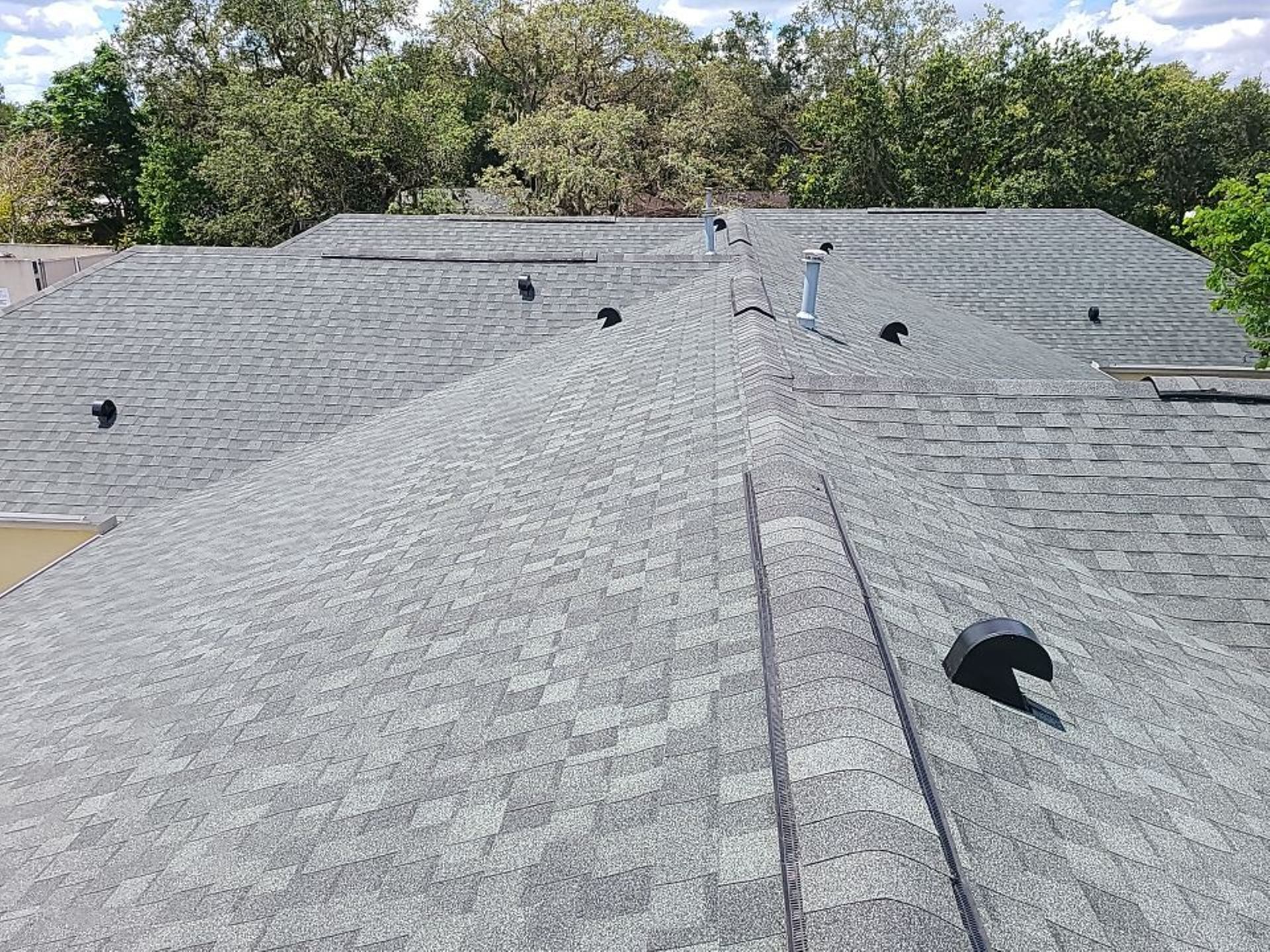 Florida Shingle Roof After 4.jpg